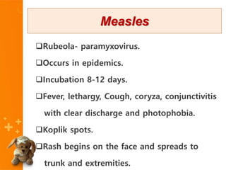 Rubeola- paramyxovirus.
Occurs in epidemics.
Incubation 8-12 days.
Fever, lethargy, Cough, coryza, conjunctivitis
with clear discharge and photophobia.
Koplik spots.
Rash begins on the face and spreads to
trunk and extremities.
Measles
 