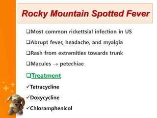 Most common rickettsial infection in US
Abrupt fever, headache, and myalgia
Rash from extremities towards trunk
Macules  petechiae
Treatment
Tetracycline
Doxycycline
Chloramphenicol
Rocky Mountain Spotted Fever
 