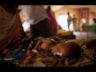 Sahel region food crisis | PPS
