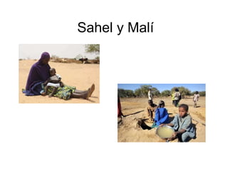 Sahel y Malí
 