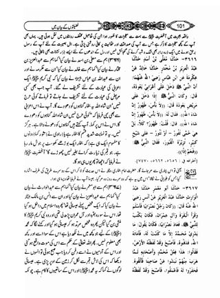Sahi bukhari urdu (jild 5)