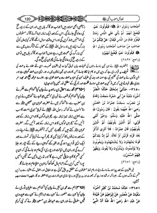 Sahi bukhari urdu (jild 5)