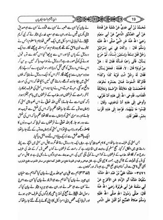Sahi bukhari urdu (jild 5)