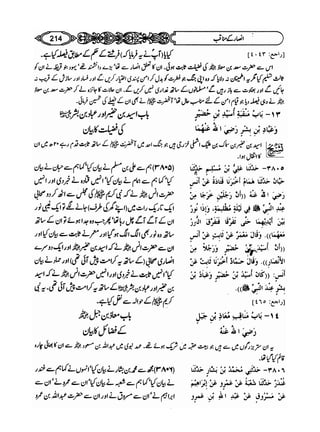 Sahi bukhari urdu (jild 5)