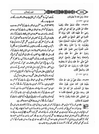 Sahi bukhari urdu (jild 5)
