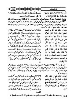 Sahi bukhari urdu (jild 5)