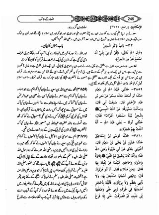 Sahi bukhari urdu (jild 5)