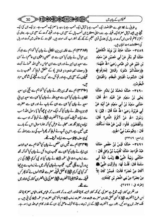 Sahi bukhari urdu (jild 5)