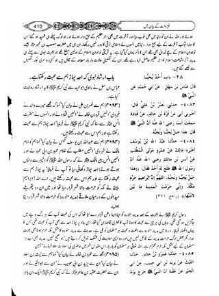 Sahi bukhari urdu (jild 5)