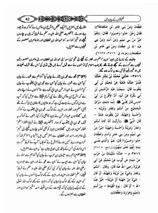 Sahi bukhari urdu (jild 5)