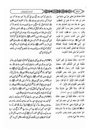 Sahi bukhari urdu (jild 5)