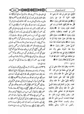 Sahi bukhari urdu (jild 5)