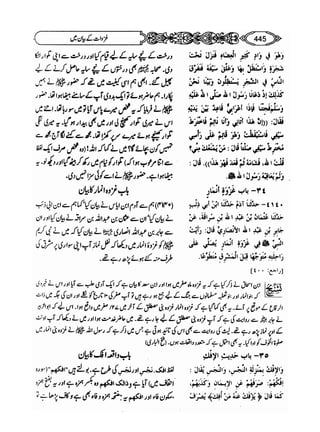 Sahi bukhari urdu (jild 5)