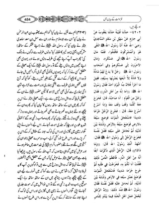 Sahi bukhari urdu (jild 5)