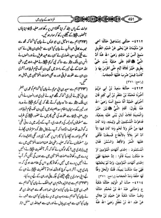 Sahi bukhari urdu (jild 5)