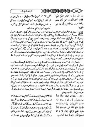 Sahi bukhari urdu (jild 5)