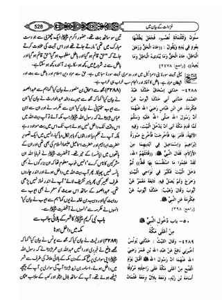 Sahi bukhari urdu (jild 5)