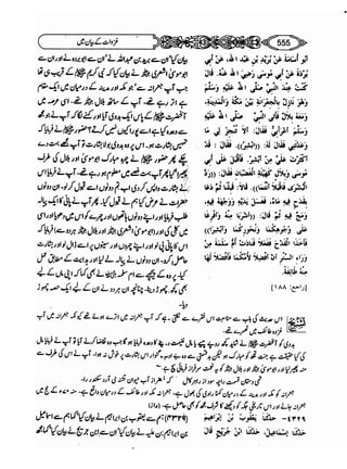 Sahi bukhari urdu (jild 5)