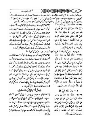 Sahi bukhari urdu (jild 5)