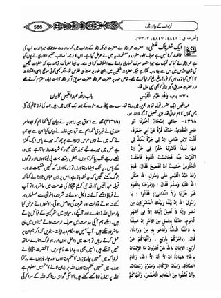 Sahi bukhari urdu (jild 5)