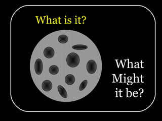 What is it? What Might it be? 