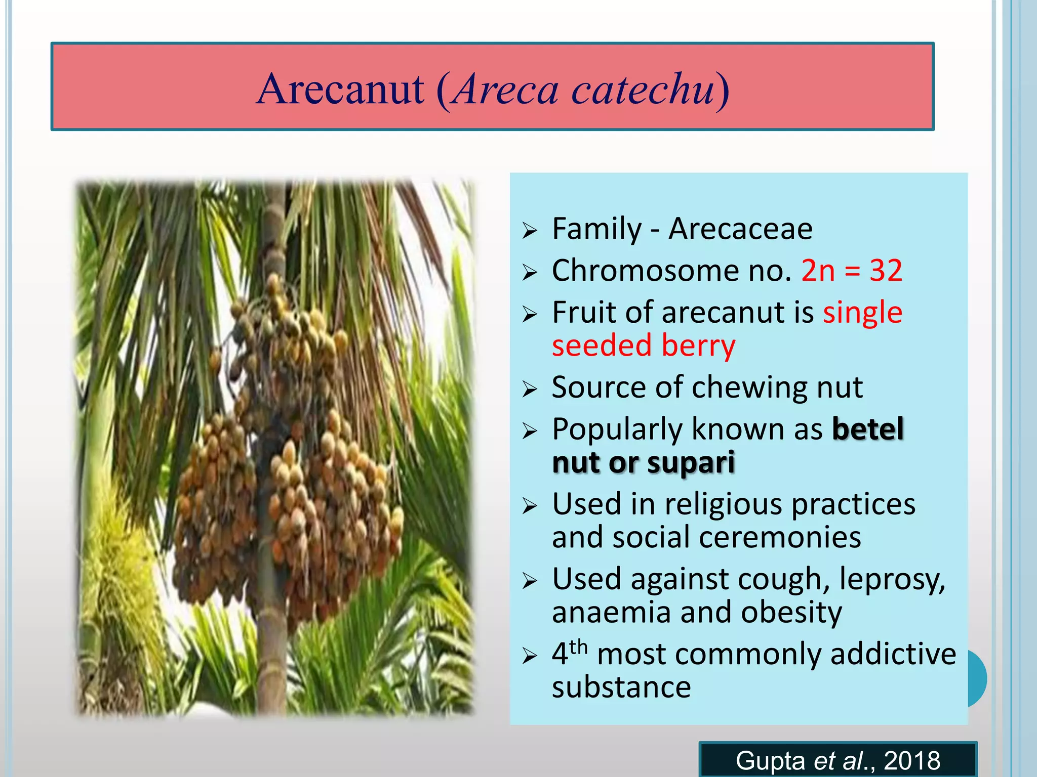  Family - Arecaceae
 Chromosome no. 2n = 32
 Fruit of arecanut is single
seeded berry
 Source of chewing nut
 Popularly known as betel
nut or supari
 Used in religious practices
and social ceremonies
 Used against cough, leprosy,
anaemia and obesity
 4th most commonly addictive
substance
Gupta et al., 2018
Arecanut (Areca catechu)
 