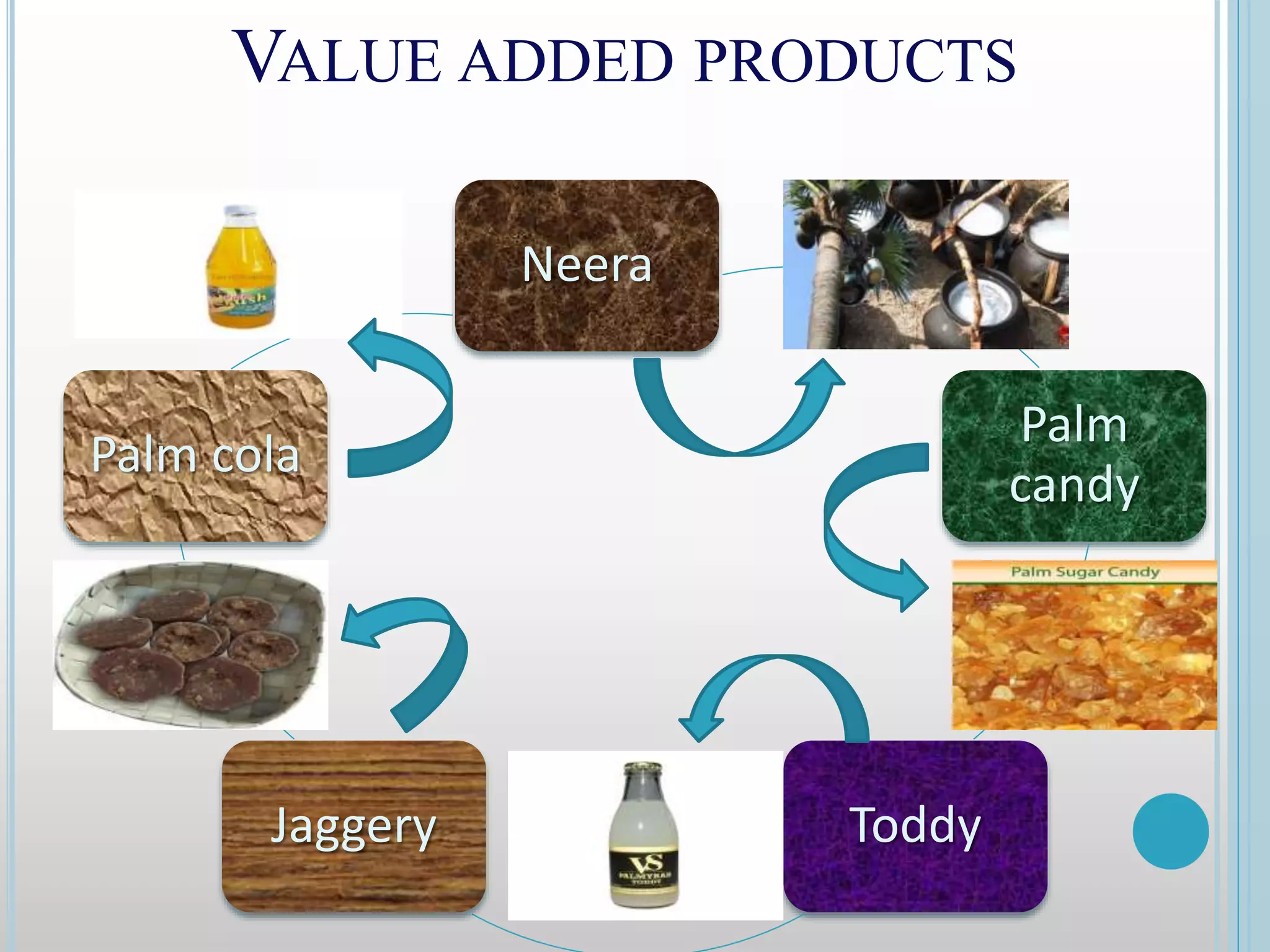 VALUE ADDED PRODUCTS
Neera
Palm
candy
Toddy
Jaggery
Palm cola
 