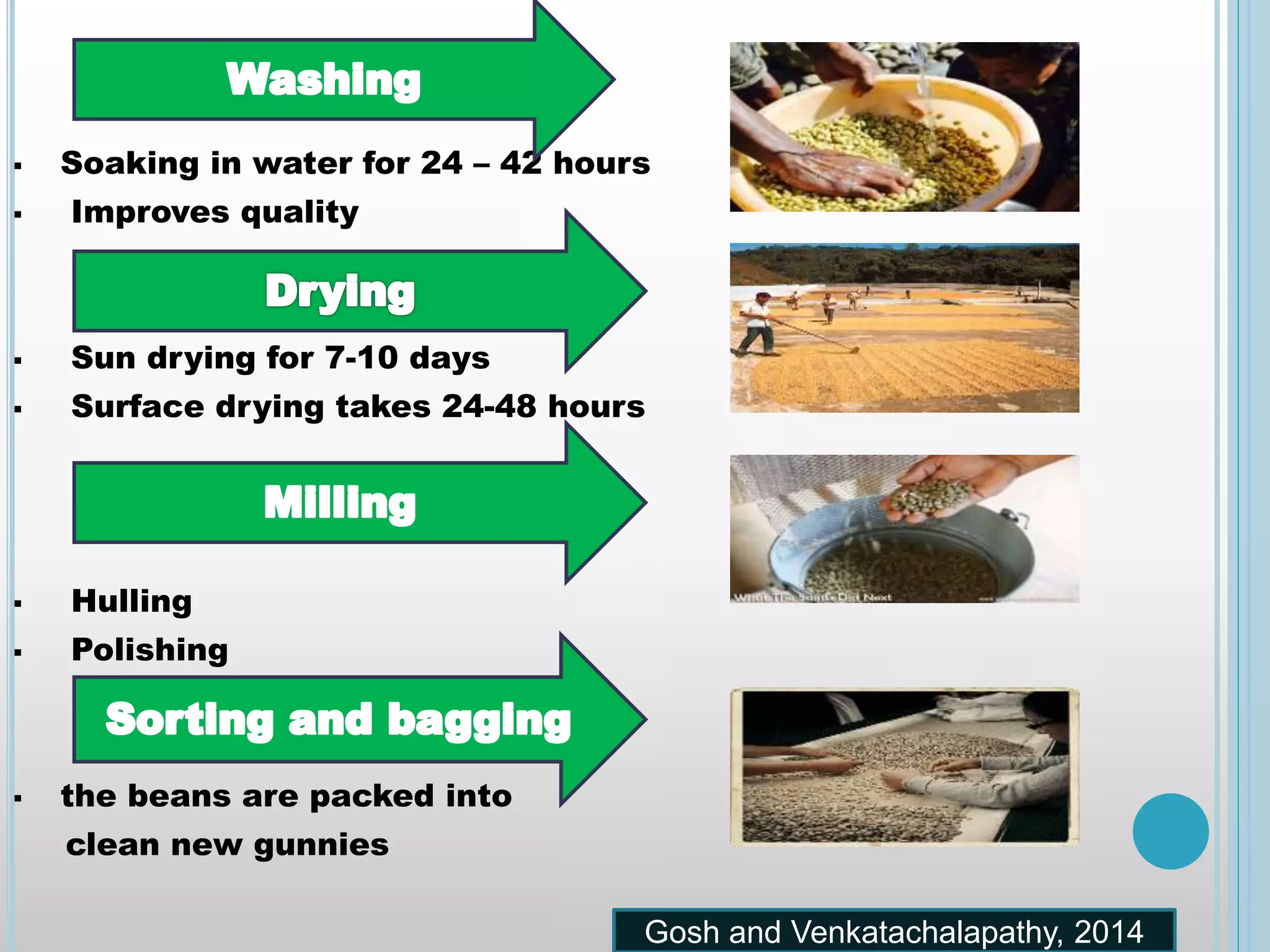  Soaking in water for 24 – 42 hours
 Improves quality
 Sun drying for 7-10 days
 Surface drying takes 24-48 hours
 Hulling
 Polishing
 the beans are packed into
clean new gunnies
Gosh and Venkatachalapathy, 2014
 