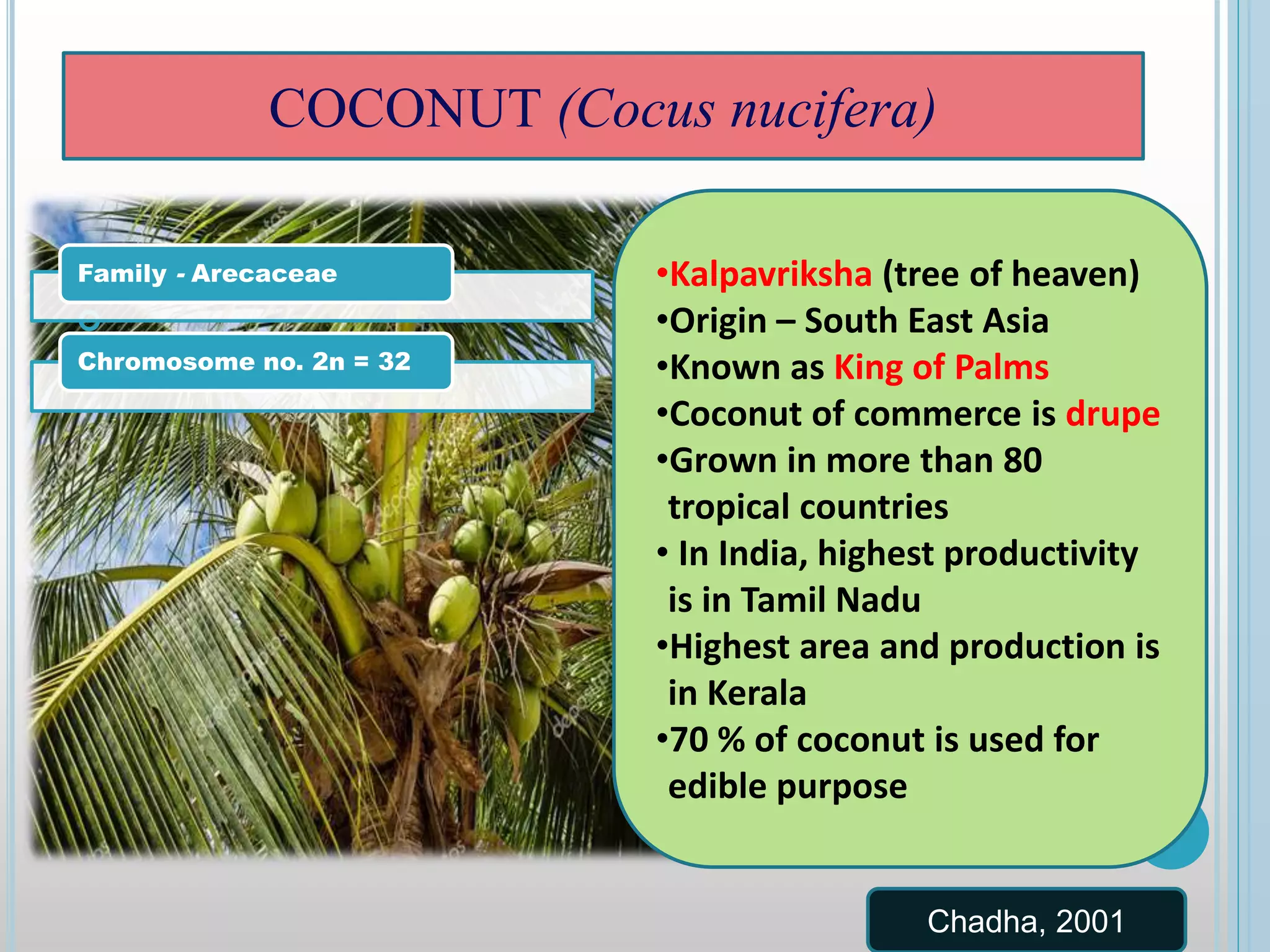 
Family - Arecaceae
Chromosome no. 2n = 32
•Kalpavriksha (tree of heaven)
•Origin – South East Asia
•Known as King of Palms
•Coconut of commerce is drupe
•Grown in more than 80
tropical countries
• In India, highest productivity
is in Tamil Nadu
•Highest area and production is
in Kerala
•70 % of coconut is used for
edible purpose
Chadha, 2001
COCONUT (Cocus nucifera)
 