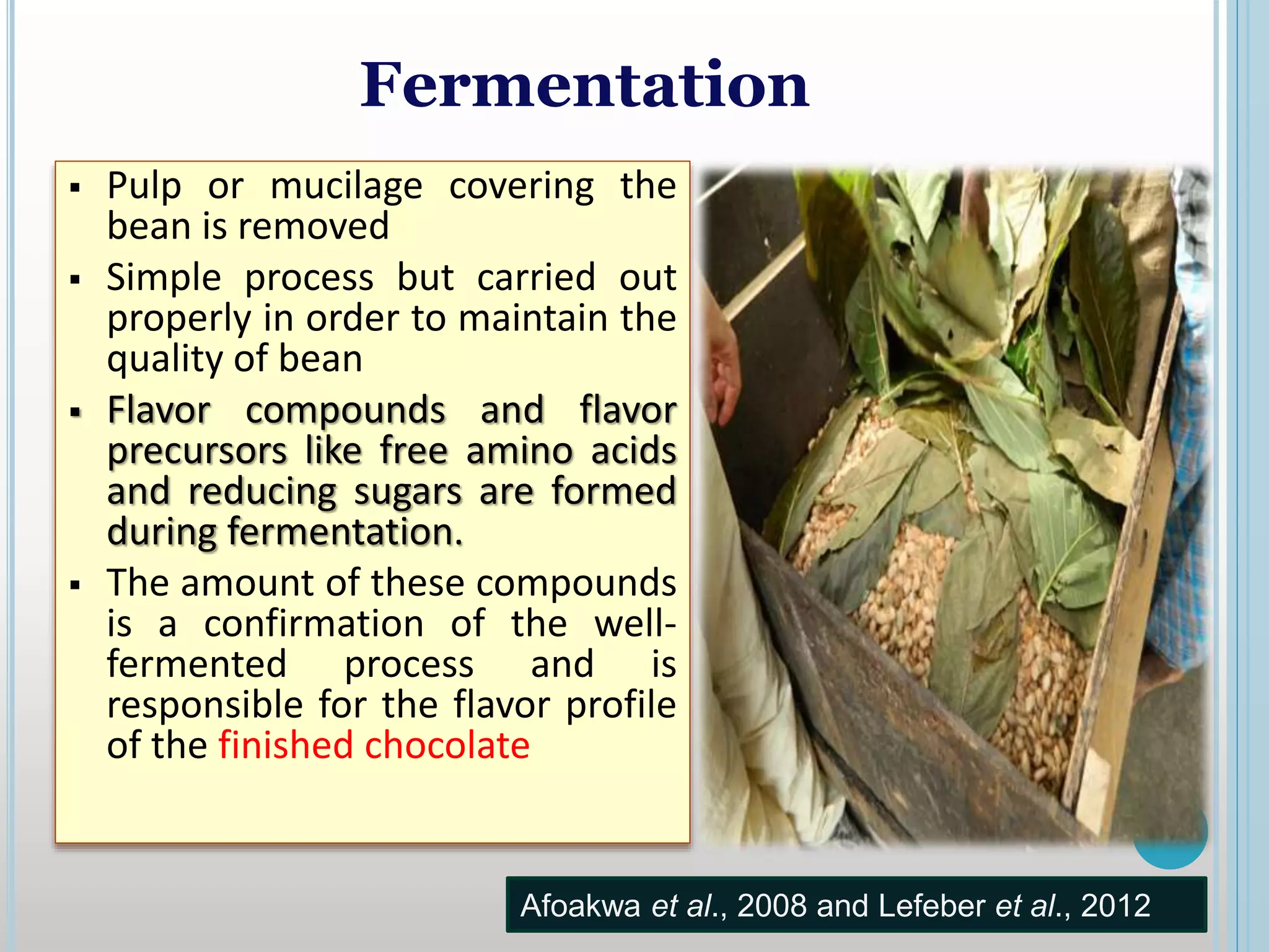  Pulp or mucilage covering the
bean is removed
 Simple process but carried out
properly in order to maintain the
quality of bean
 Flavor compounds and flavor
precursors like free amino acids
and reducing sugars are formed
during fermentation.
 The amount of these compounds
is a confirmation of the well-
fermented process and is
responsible for the flavor profile
of the finished chocolate
Afoakwa et al., 2008 and Lefeber et al., 2012
Fermentation
 