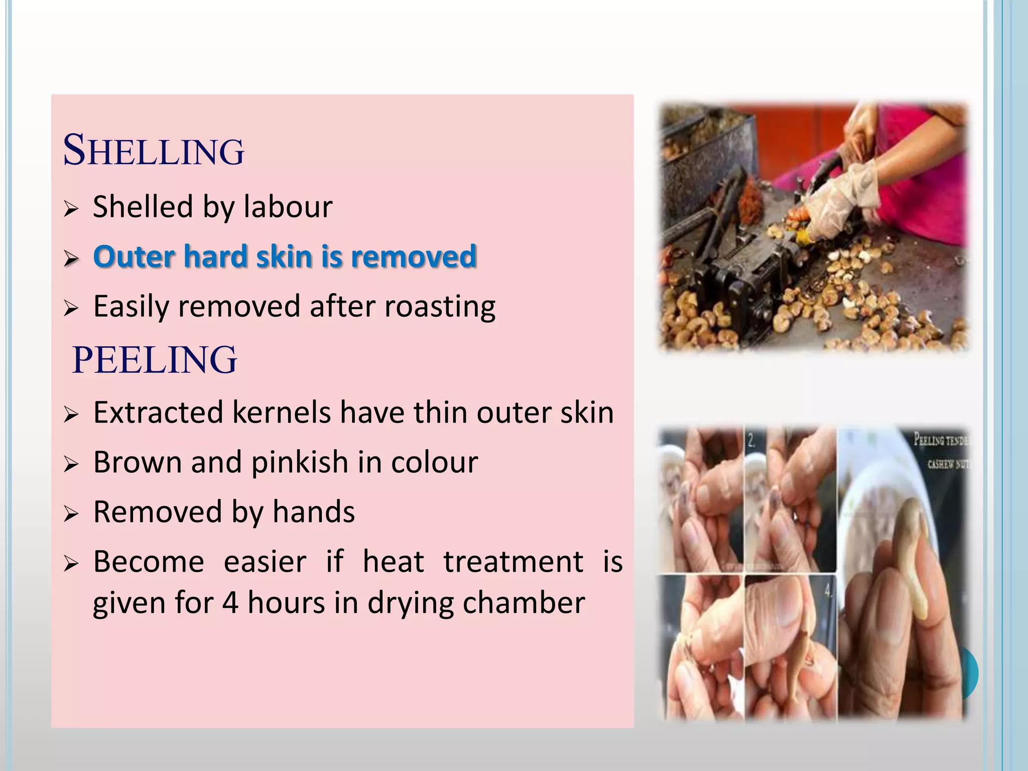 SHELLING
 Shelled by labour
 Outer hard skin is removed
 Easily removed after roasting
PEELING
 Extracted kernels have thin outer skin
 Brown and pinkish in colour
 Removed by hands
 Become easier if heat treatment is
given for 4 hours in drying chamber
 