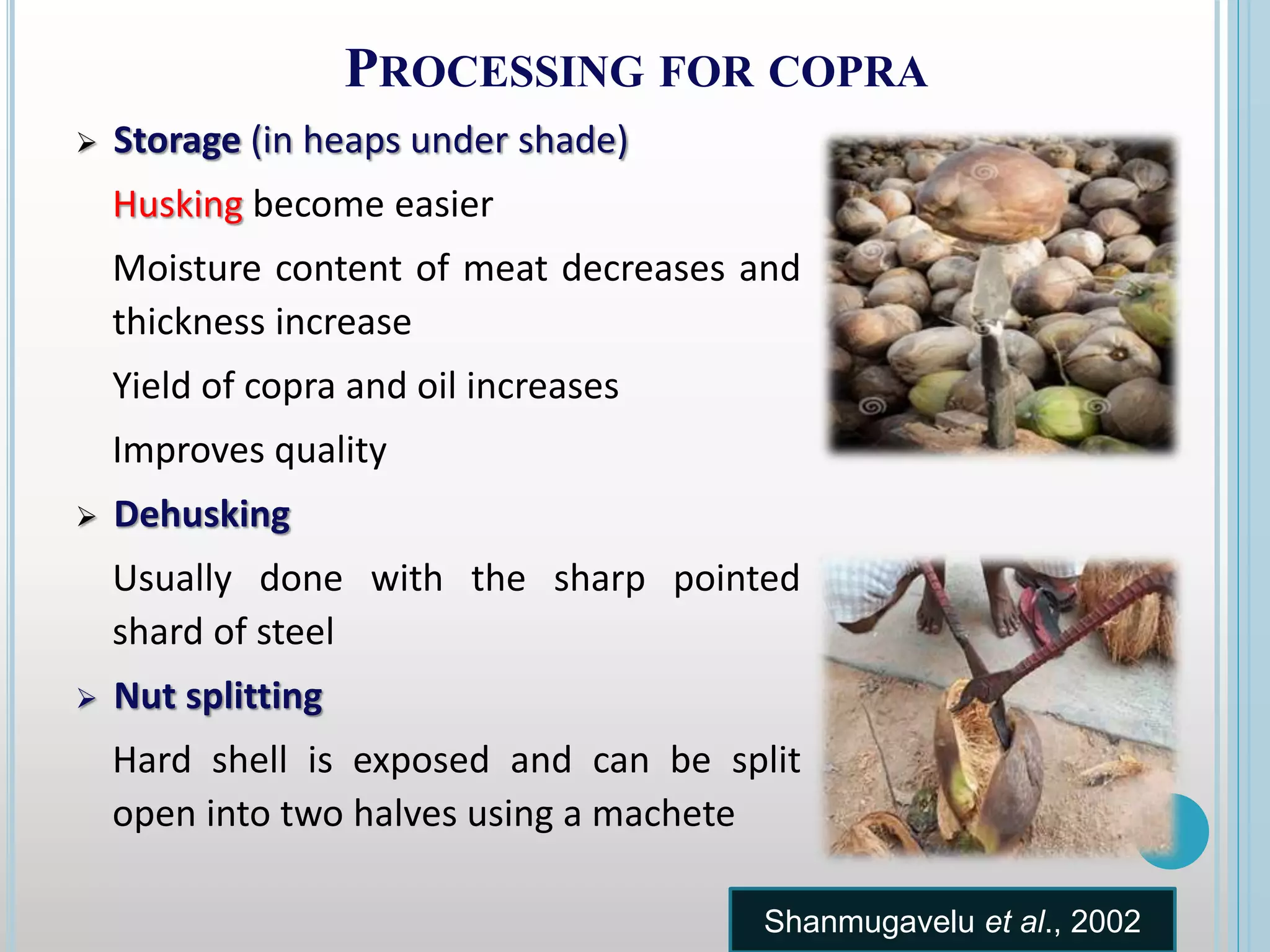 PROCESSING FOR COPRA
 Storage (in heaps under shade)
Husking become easier
Moisture content of meat decreases and
thickness increase
Yield of copra and oil increases
Improves quality
 Dehusking
Usually done with the sharp pointed
shard of steel
 Nut splitting
Hard shell is exposed and can be split
open into two halves using a machete
Shanmugavelu et al., 2002
 