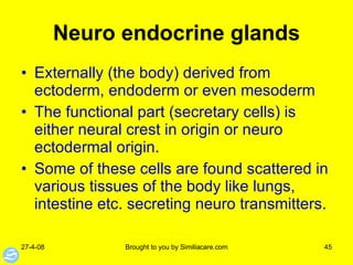 Neuro endocrine glands Externally (the body) derived from ectoderm, endoderm or even mesoderm The functional part (secretary cells) is either neural crest in origin or neuro ectodermal origin.  Some of these cells are found scattered in various tissues of the body like lungs, intestine etc. secreting neuro transmitters.  