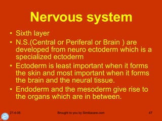 Nervous system Sixth layer N.S.(Central or Periferal or Brain ) are developed from neuro ectoderm which is a specialized ectoderm Ectoderm is least important when it forms the skin and most important when it forms the brain and the neural tissue.  Endoderm and the mesoderm give rise to the organs which are in between. 
