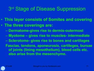 3 rd  Stage of Disease Suppression This layer consists of Somites and covering The three coverings are: Dermatome-gives rise to dermis-outermost Myotome – gives rise to muscles- intermediate Sclerotome- gives rise to bones and cartilages Fascias, tendons, aponeurosis, cartileges, bursae of joints (lining mesothelium), blood cells etc. also arise from the mesenchyme.  