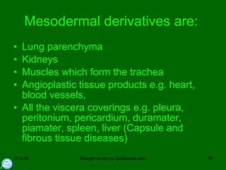 Mesodermal derivatives are:  Lung parenchyma Kidneys Muscles which form the trachea Angioplastic tissue products e.g. heart, blood vessels,  All the viscera coverings e.g. pleura, peritonium, pericardium, duramater, piamater, spleen, liver (Capsule and fibrous tissue diseases) 