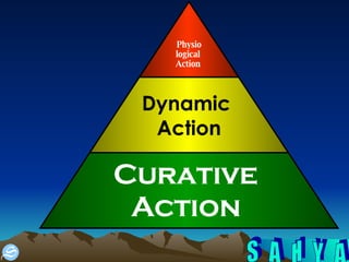 Physio logical  Action  Dynamic  Action Curative  Action  