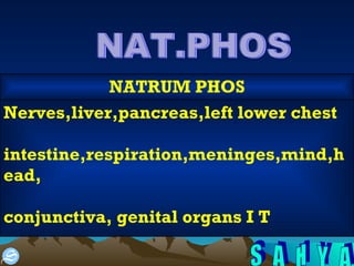 NAT.PHOS Nerves,liver,pancreas,left lower chest intestine,respiration,meninges,mind,head, conjunctiva, genital organs I T NATRUM PHOS 