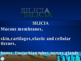 SILICIA Mucous membranes, skin,cartilages,elastic and cellular tissues, bones, Eustachian tubes,nerves,glands SILICIA 