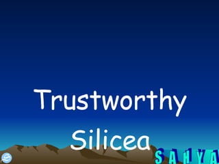 Trustworthy Silicea 