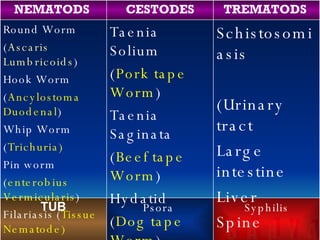 Syphilis Psora  TUB Schistosomiasis (Urinary tract Large intestine Liver Spine Lungs) Taenia Solium  ( Pork tape Worm ) Taenia Saginata ( Beef tape Worm ) Hydatid  ( Dog tape Worm ) Round Worm ( Ascaris Lumbricoids )  Hook Worm ( Ancylostoma Duodenal ) Whip Worm  ( Trichuria) Pin worm ( enterobius Vermicularis ) Filariasis ( Tissue Nematode) TREMATODS  CESTODES NEMATODS  