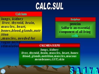 CALC.SUL lungs, kidney liver, thyroid, brain, muscles, heart, bones , blood,glands,nutrition ,muscles, needed for vagus nerve stimulation. Calcium proteins Sulfur is an essential component of all living  cells . Sulphur lungs, kidney liver, thyroid, brain, muscles, heart, bones blood, glands,nutrition,muscles,mucous membranes,GUT,skin CALCAREA SULPH 
