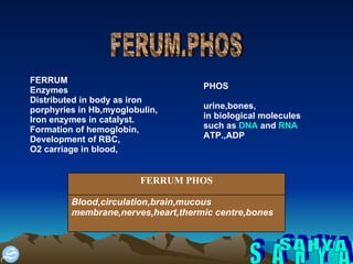 S A H Y A FERUM.PHOS FERRUM Enzymes  Distributed in body as iron porphyries in Hb,myoglobulin, Iron enzymes in catalyst. Formation of hemoglobin, Development of RBC, O2 carriage in blood, PHOS urine,bones, in biological molecules  such as  DNA  and  RNA ATP.,ADP Blood,circulation,brain,mucous membrane,nerves,heart,thermic centre,bones FERRUM PHOS 