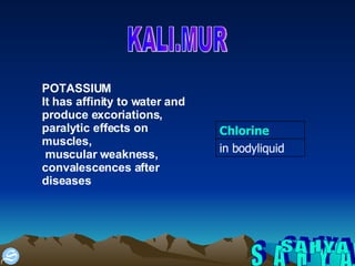 S A H Y A KALI.MUR POTASSIUM It has affinity to water and produce excoriations, paralytic effects on muscles, muscular weakness,  convalescences after diseases in bodyliquid Chlorine 