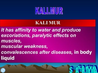 S A H Y A KALI.MUR It has affinity to water and produce excoriations, paralytic effects on   muscles,  muscular weakness,  convalescences after diseases,  in body liquid KALI MUR 