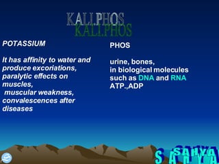 S A H Y A KALI.PHOS POTASSIUM It has affinity to water and produce excoriations, paralytic effects on   muscles, muscular weakness,  convalescences after diseases PHOS urine, bones, in biological molecules  such as  DNA  and  RNA ATP.,ADP 