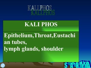 S A H Y A KALI.PHOS Epithelium,Throat,Eustachian tubes, lymph glands, shoulder KALI PHOS 