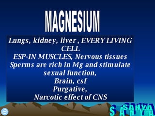 S A H Y A MAGNESIUM Lungs, kidney, liver  ,  EVERY LIVING CELL ESP-IN MUSCLES, Nervous tissues Sperms are rich in Mg and stimulate sexual function, Brain, csf Purgative, Narcotic effect of CNS 