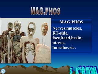 S A H Y A MAG.PHOS Nerves,muscles, RT-side, face,head,brain, uterus, intestine,etc. MAG.PHOS 