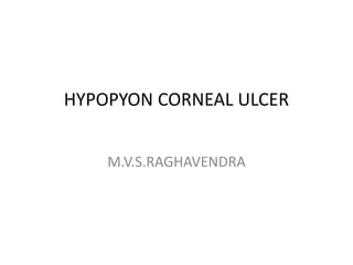 HYPOPYON CORNEAL ULCER
M.V.S.RAGHAVENDRA
 